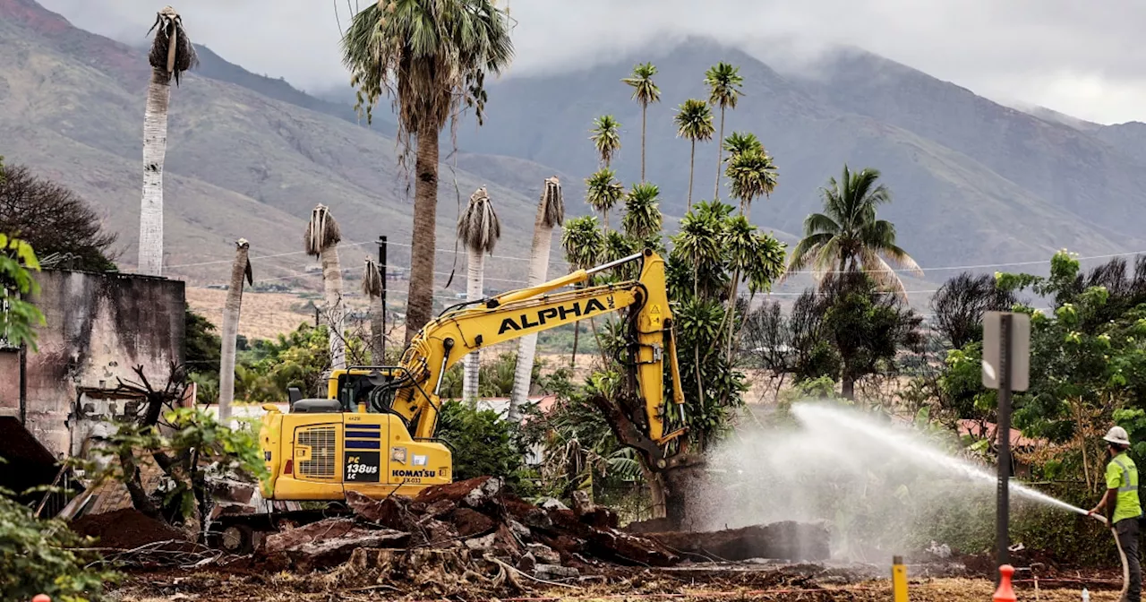 Lahaina wildfire aftermath: Residents rebuild and heal as Maui tourism struggles