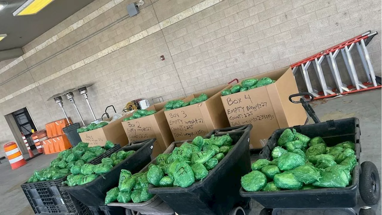 Record methamphetamine shipment found in lettuce shipment