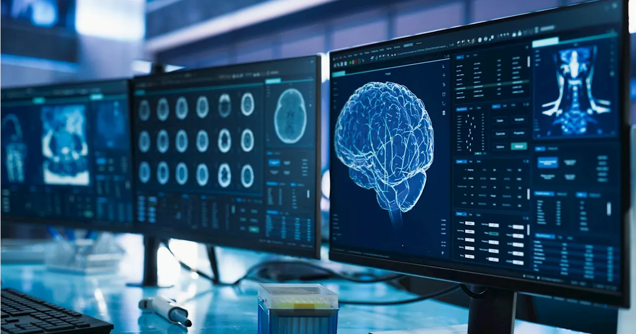 Active immune cells discovered in brain's cranial bone marrow fighting glioblastomas