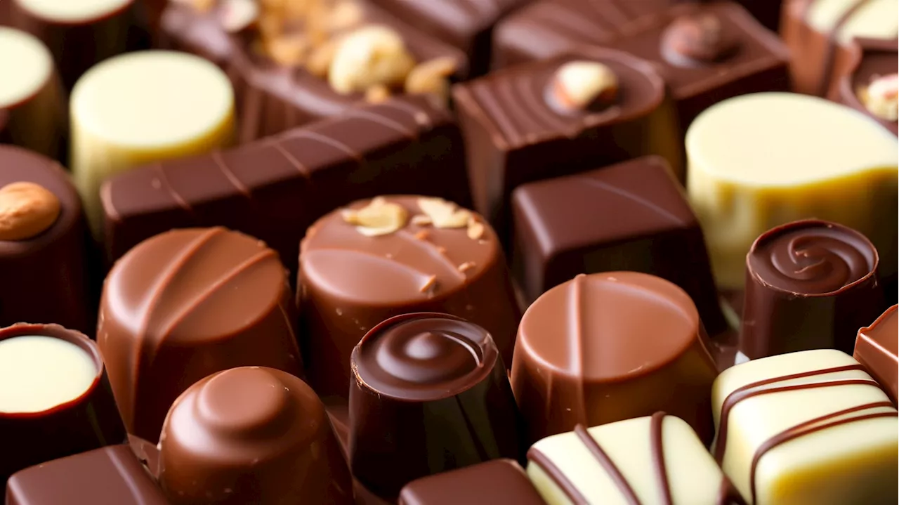 Alarming heavy metal levels found in US cocoa products