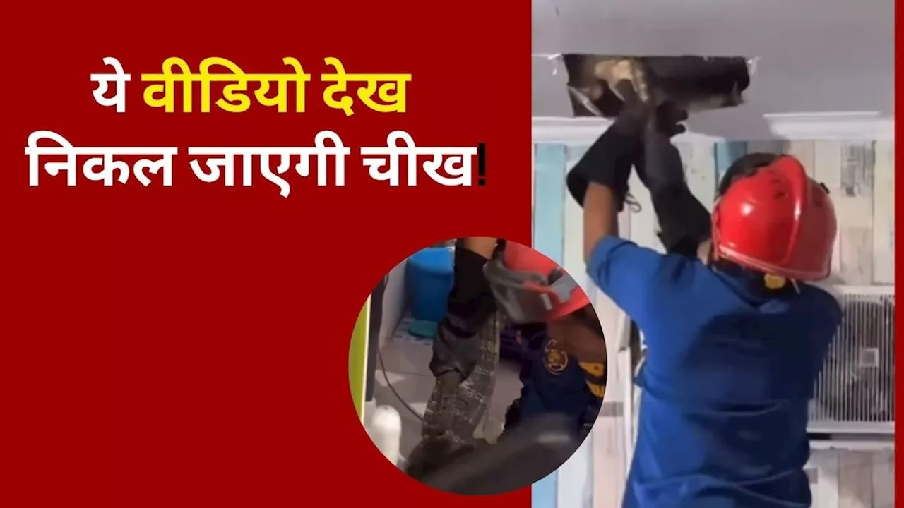 घर की रसोई से रात मेंआती थी अजीब आवाजें, Video देख निकल जाएगी चीख