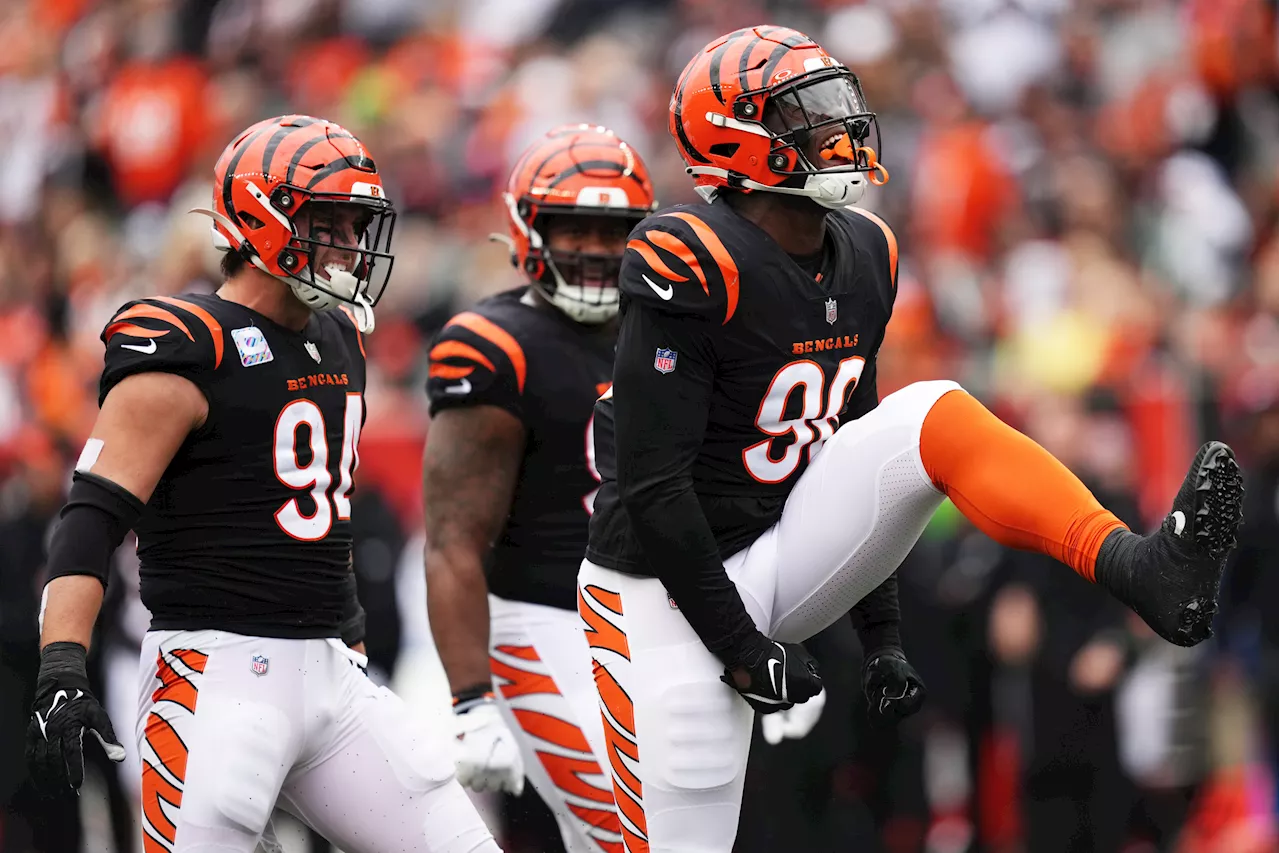 Bengals Defender Suffers Season-Ending Torn Achilles