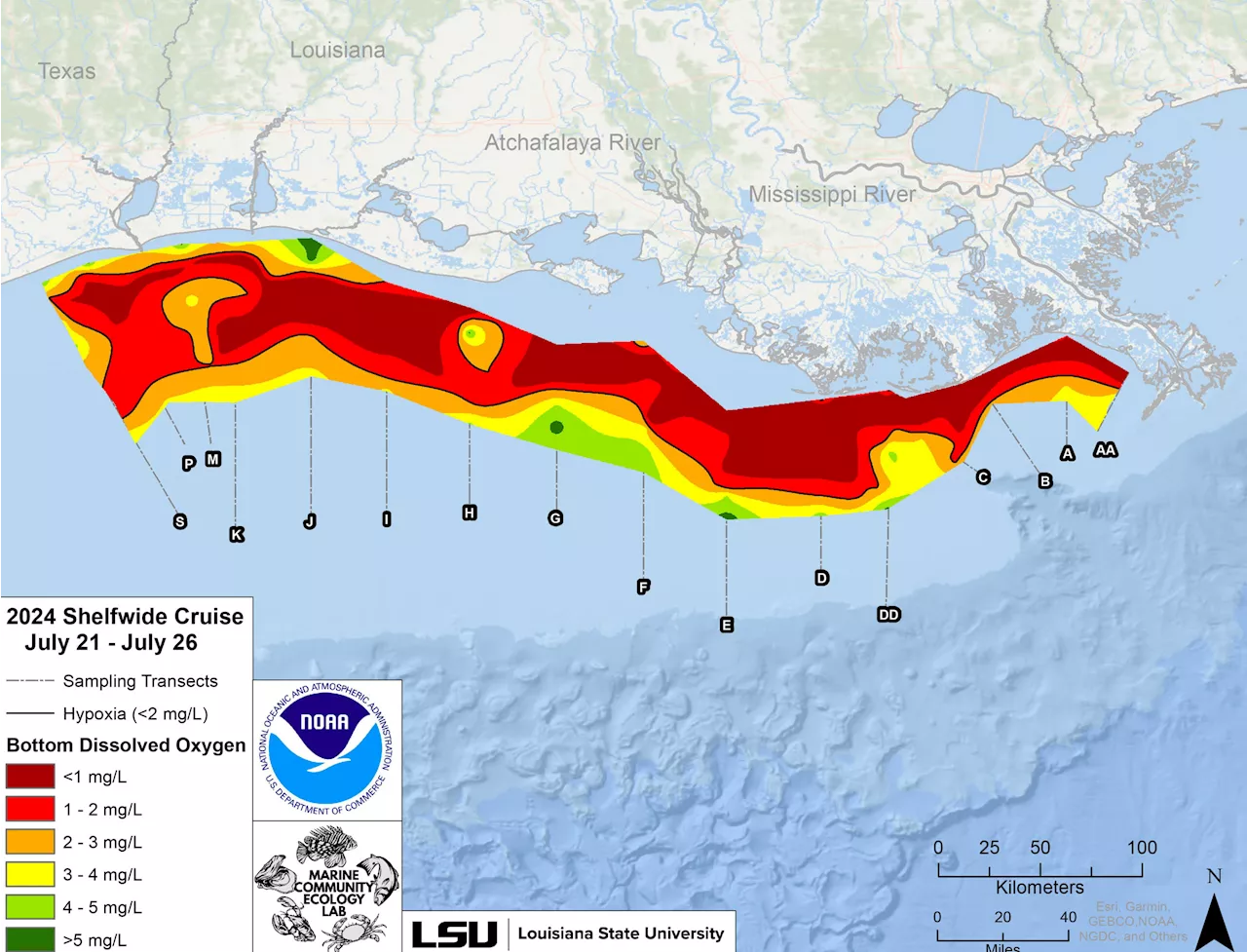 Map Reveals Fish-Killing 'Dead Zone' Size of New Jersey in Gulf of Mexico