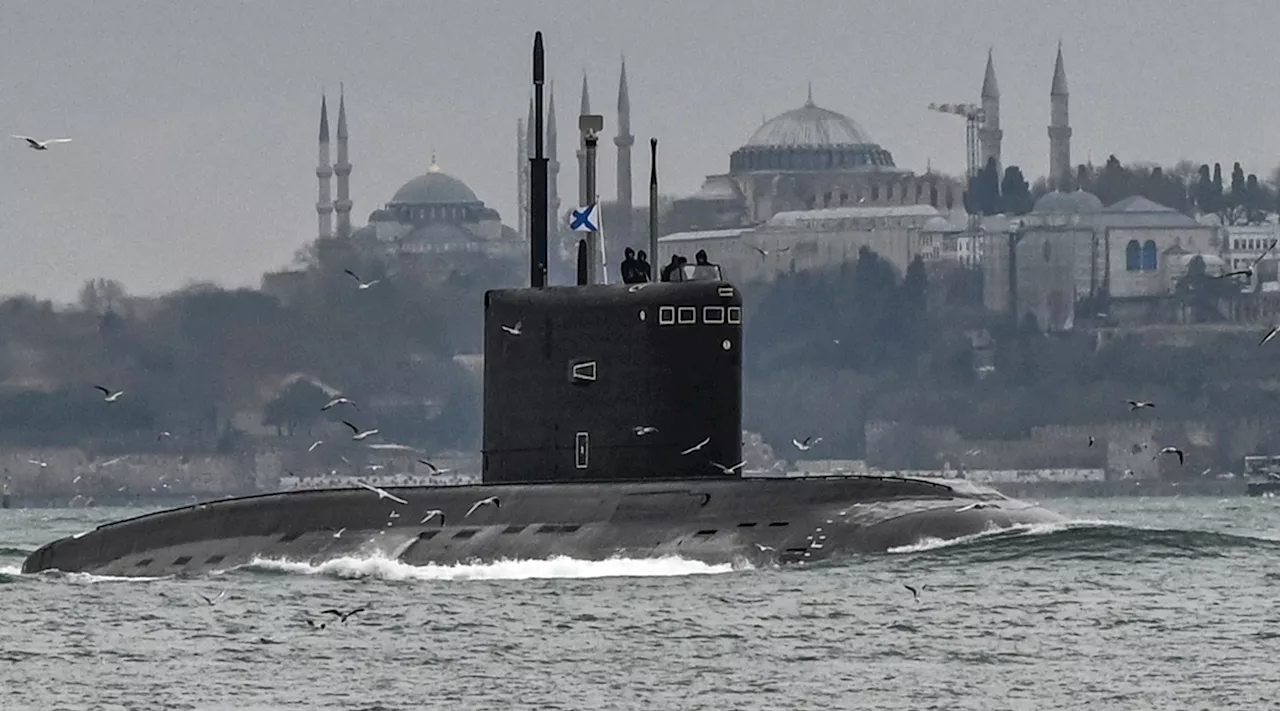 Russia's Black Sea Fleet Losses Worsen Even as Navy Flees Region