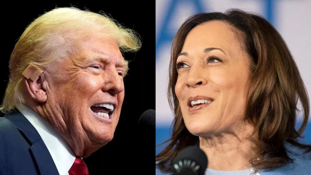 Top forecaster: Trump still ahead overall, but Harris has blowout leads in 2 key swing states