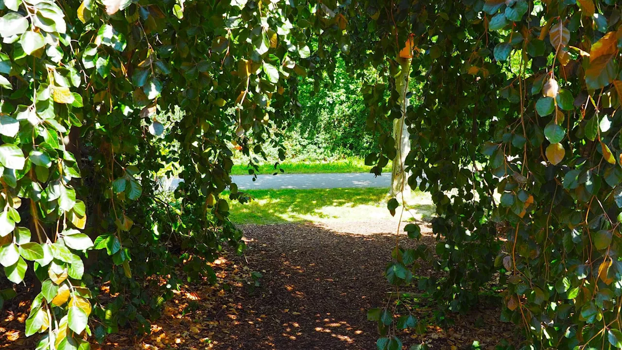 Garten Tulln: Innovative Lösungen für Hitze im Garten