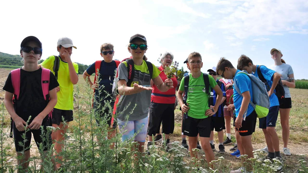 Leitzersdorfer Kinder entdecken Köstliches am Wegesrand