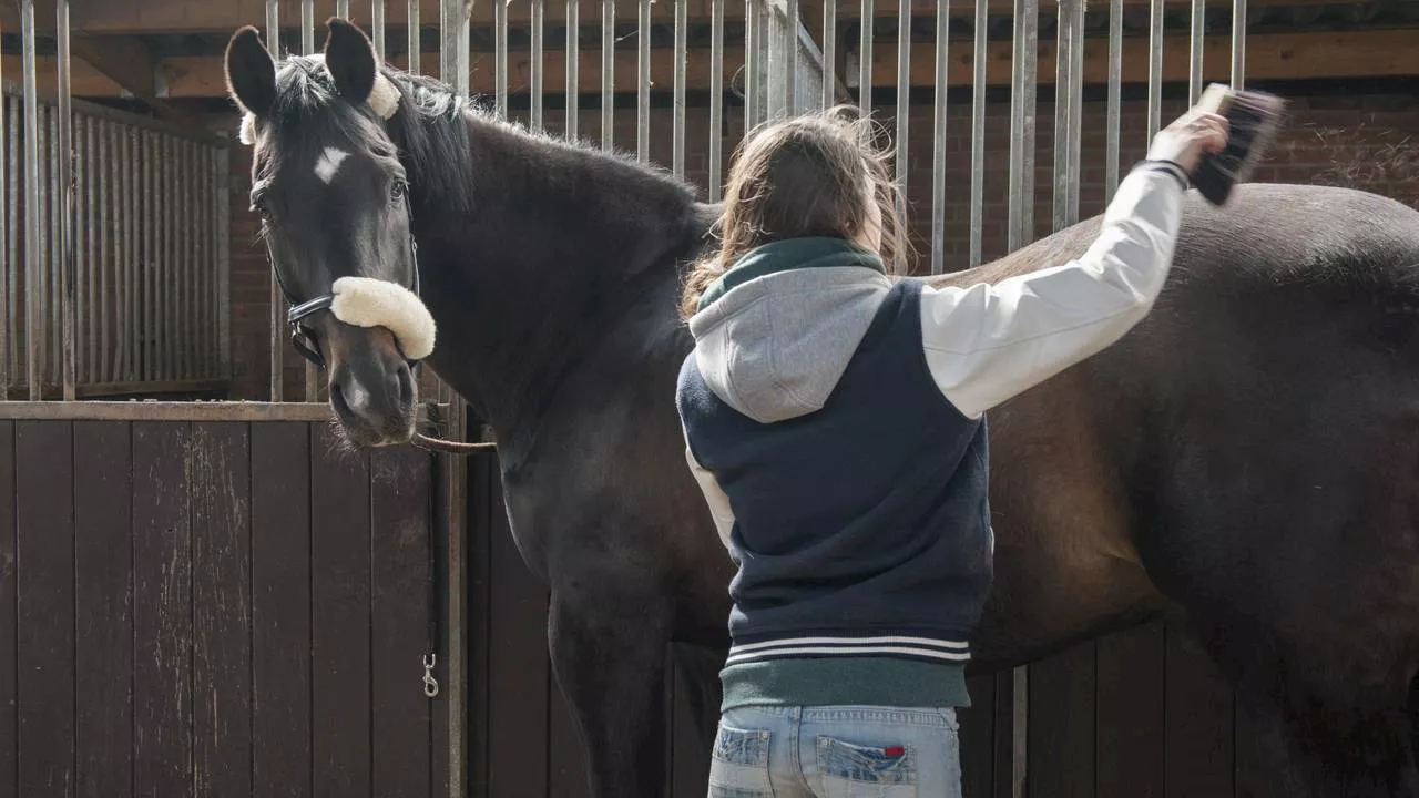 Man bood meisjes (13 en 14) paard aan in ruil voor contact: celstraf