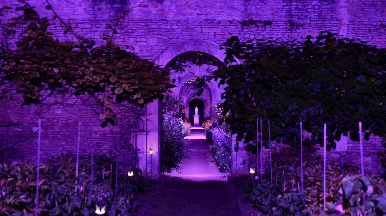 Trois bonnes raisons d’aller voir les illuminations nocturnes au château de Canon