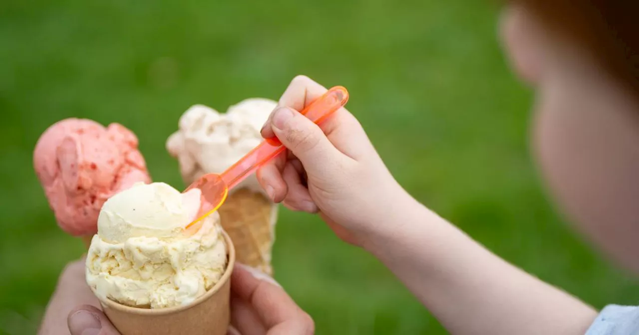 Eis aus der Eisdiele: Teilweise angeliefert und mit Pulver angerührt