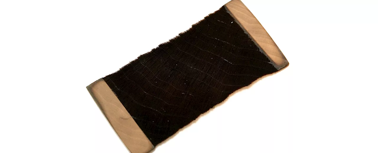 New Super-Black Material Made of Wood Can Absorb 99.3% of Light