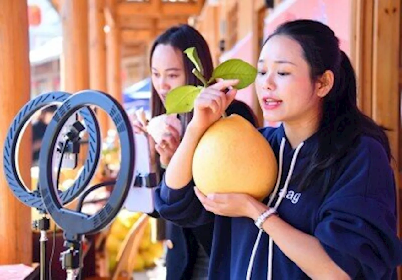 「ライブ配信キャスト」が中国の新たな職業に認定（2024年8月5日）｜BIGLOBEニュース