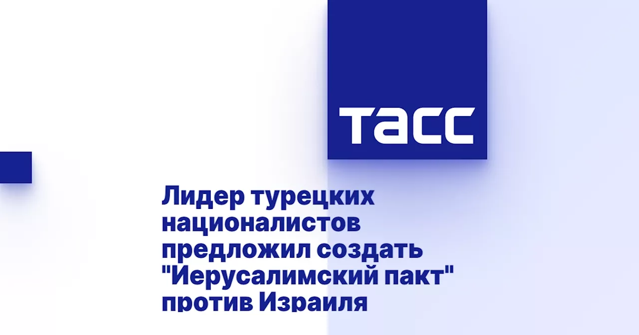 Лидер турецких националистов предложил создать 'Иерусалимский пакт' против Израиля