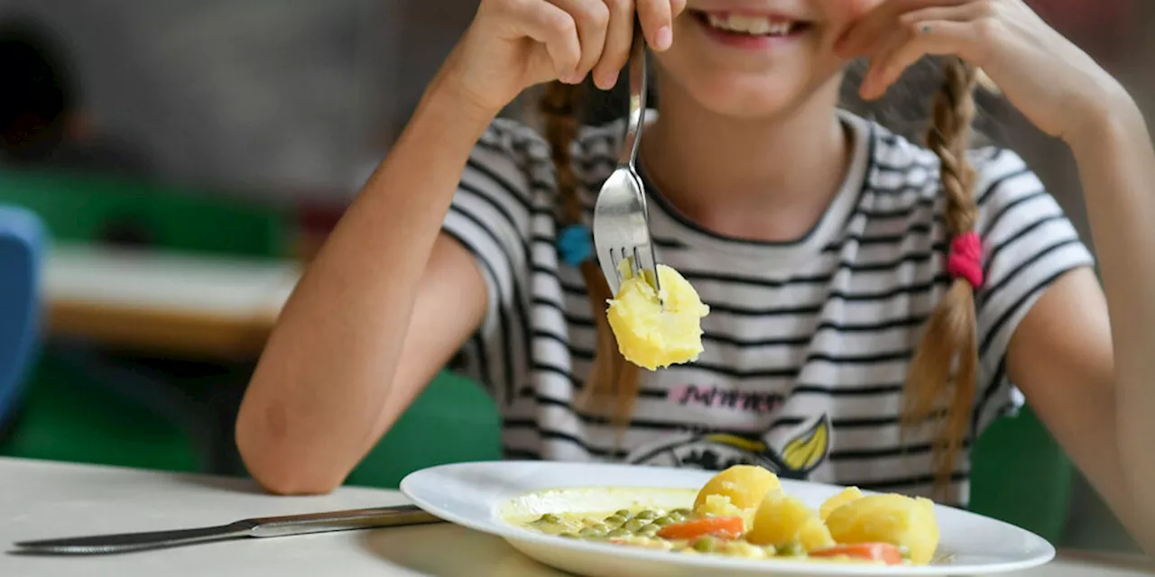 Vorschläge für Schul- und Rentenpolitik: Linke fordert kostenlose Schulessen