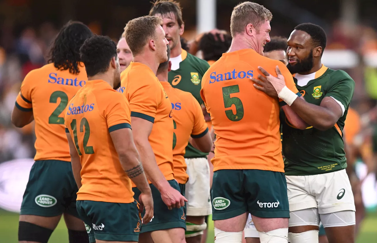 Wallabies coach: I know Springboks better than my own team!