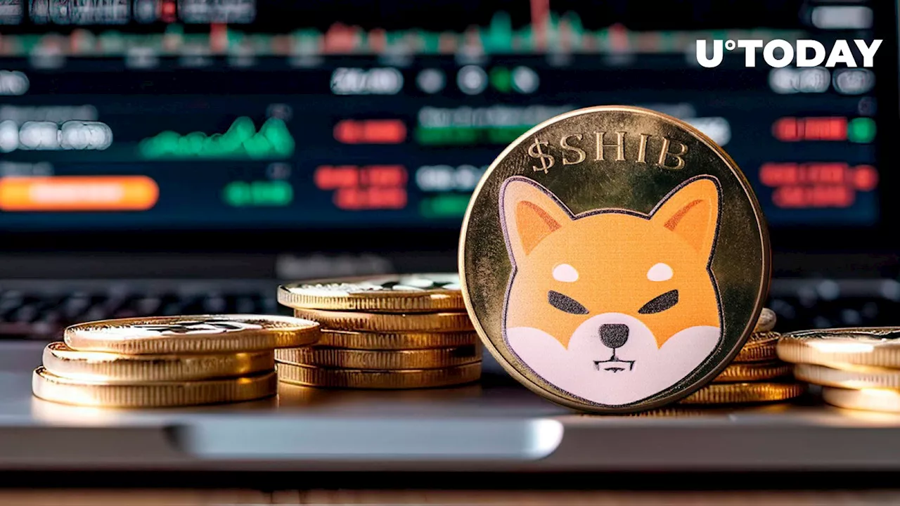 1.53 Trillion SHIB in 24 Hours: Shiba Inu (SHIB) Doesn't Care