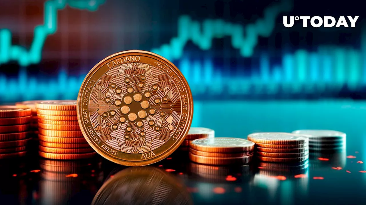 Cardano (ADA) On-Chain Activity Skyrockets in July Despite Market Crash