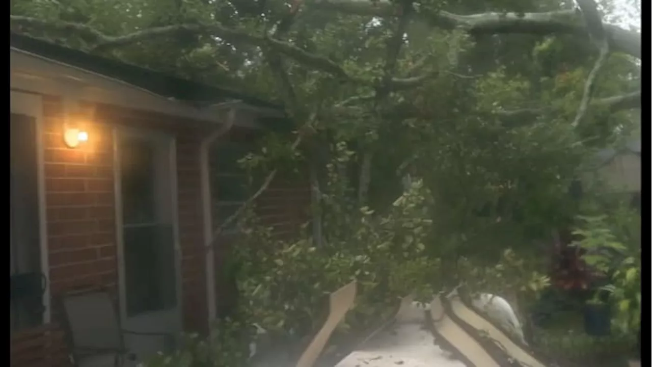 ‘I heard this boom’: Jacksonville man unharmed after massive tree falls on his Northside home