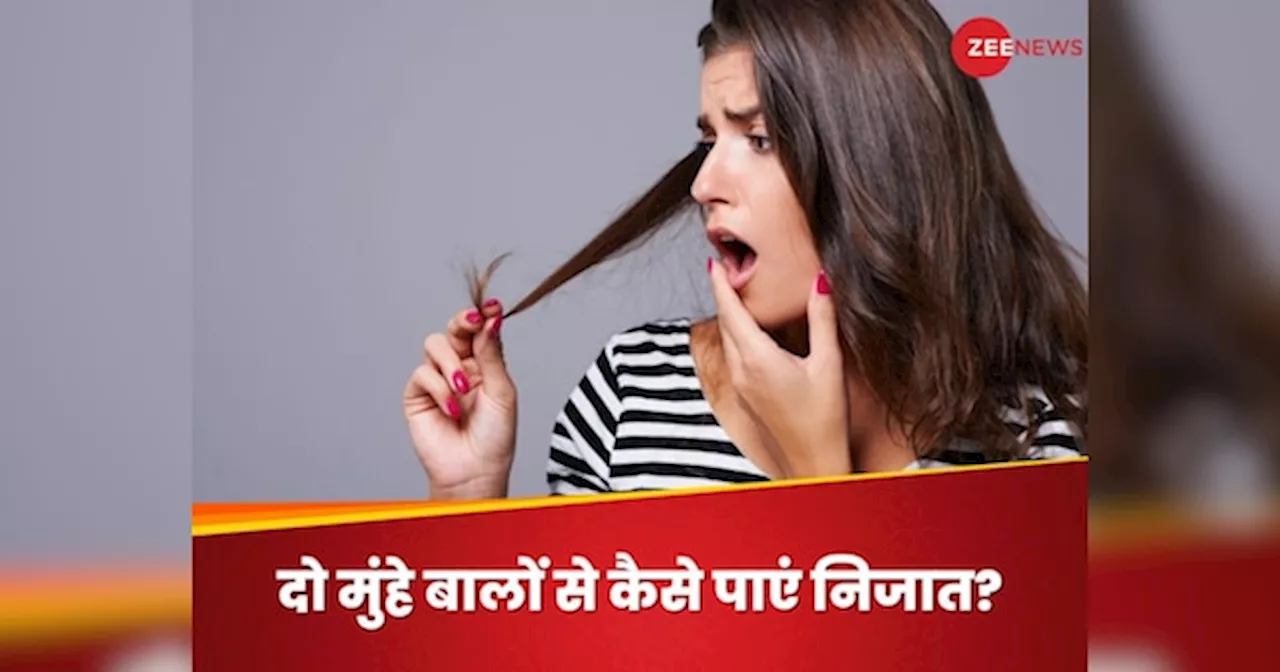 Split Ends: बिना कैंची से काटे दो मुंहे बालों का मिट जाएगा नामोनिशान, ये 3 तरीके आएंगे आपके काम