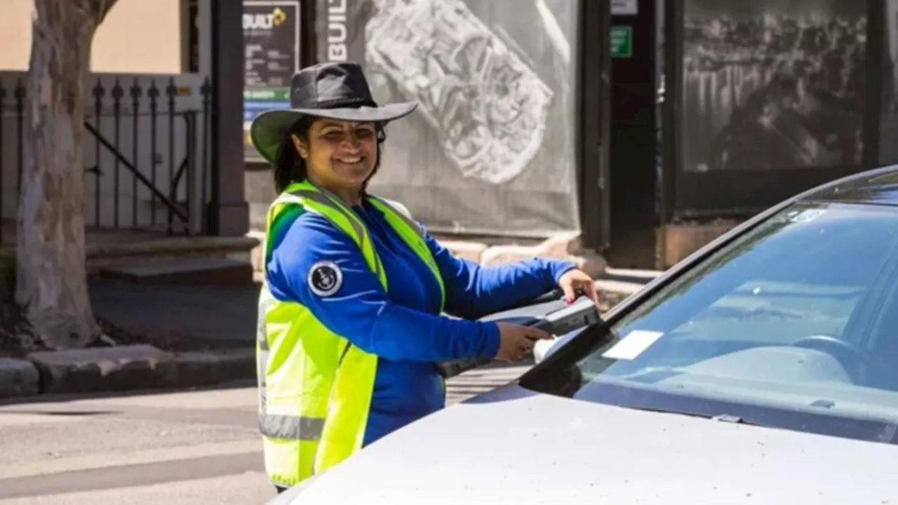 Council act slammed by NSW minister after nearly 50 per cent spike in ticketless parking fines