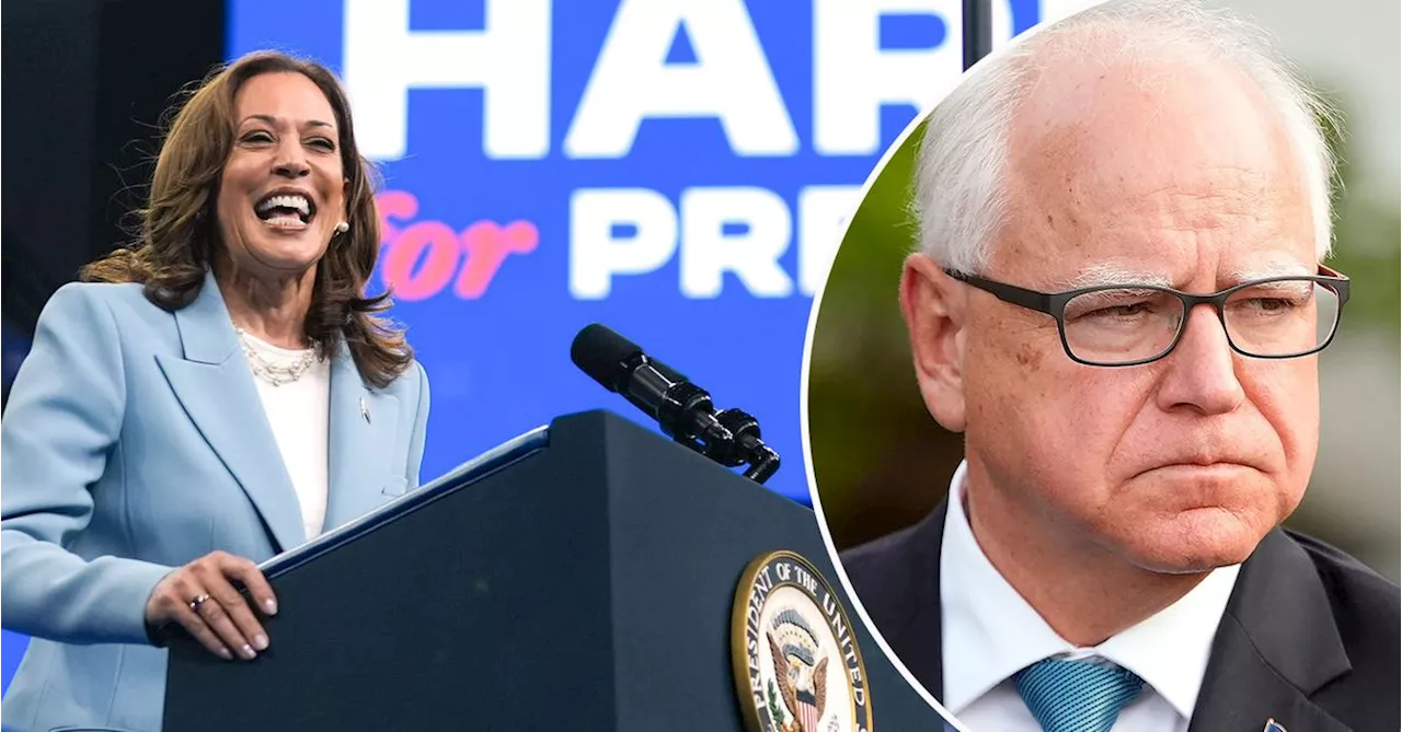 Kamala Harris picks Minnesota Governor Tim Walz as running mate in US election, sources say