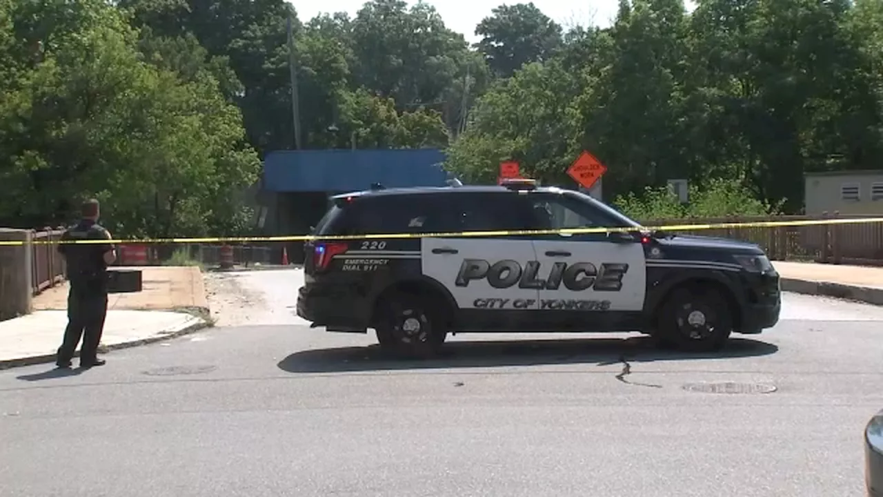 Investigation underway after body found in shopping cart under bridge in Yonkers, source says