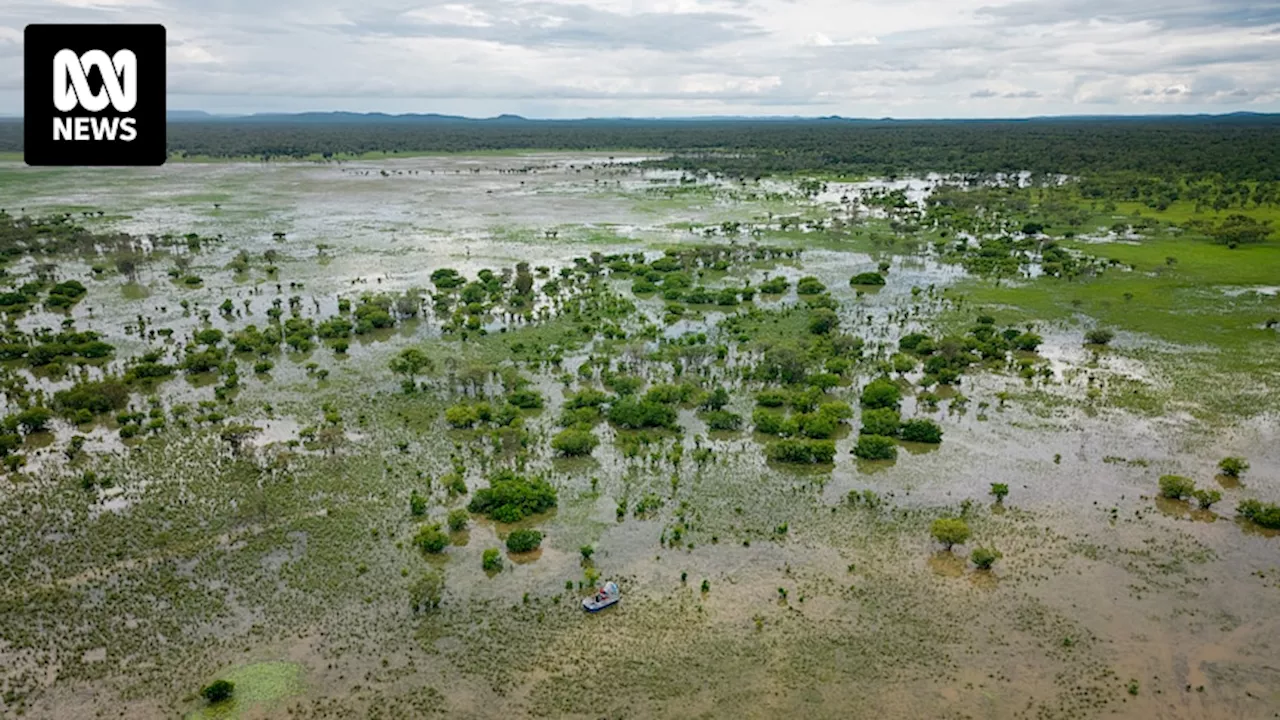 ERA launches legal action over decision not to renew lease over Jabiluka uranium mine near Kakadu