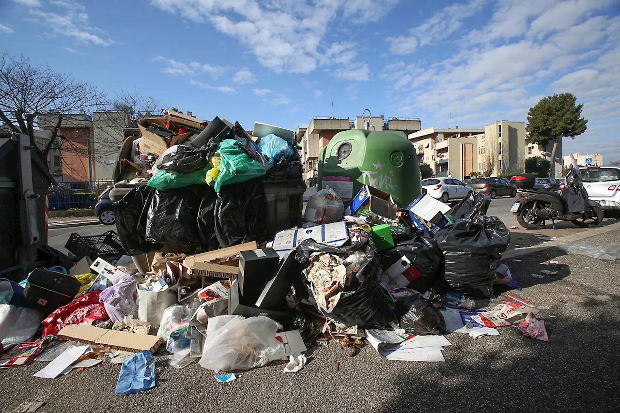 Caldo e rifiuti a Roma, l'allarme dell'Ordine dei medici: 'Mix pericoloso: rischio larve, topi e blatte'