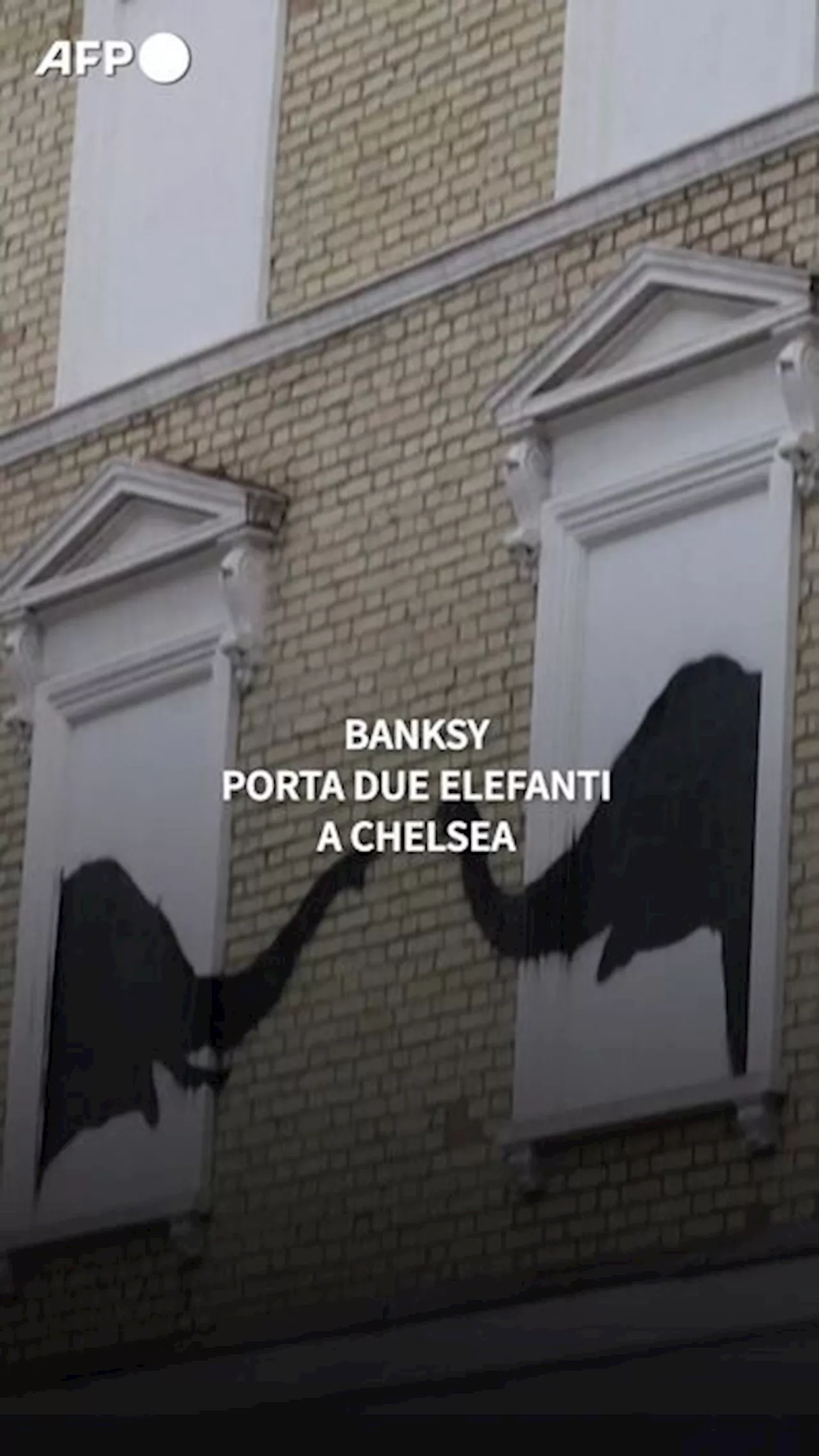 Banksy porta due elefanti a Chelsea