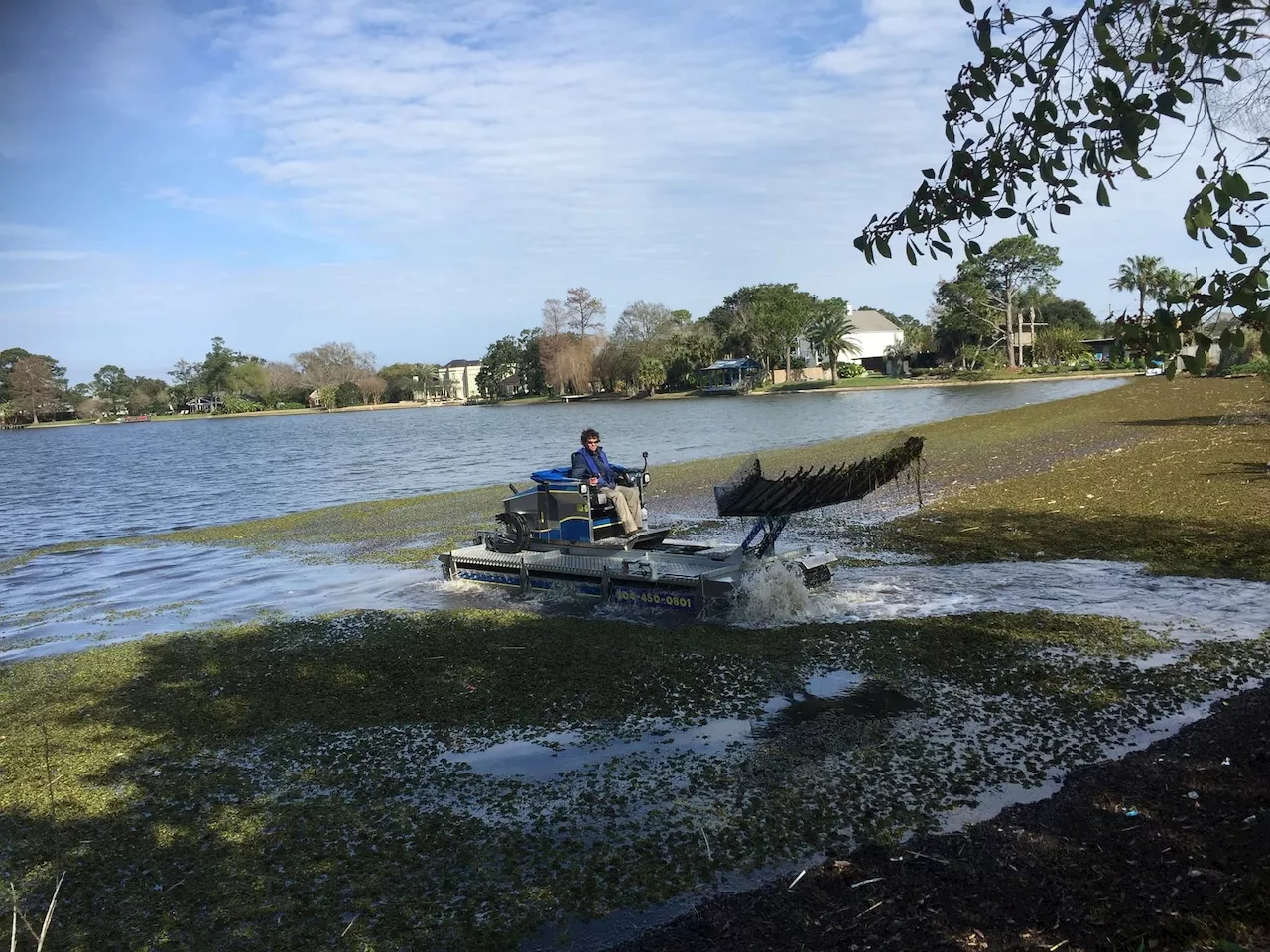 Invasive species, minority farmers, healthcare sale: Down in Alabama