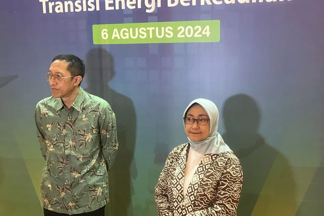 Transisi energi dinilai jadi bagian penting capai SDGs