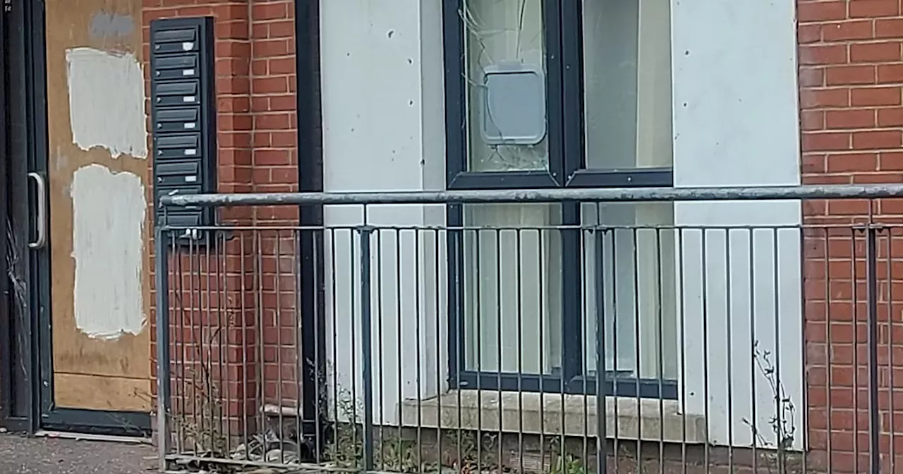 Graffiti and broken windows at Belfast apartment block treated as hate crimes