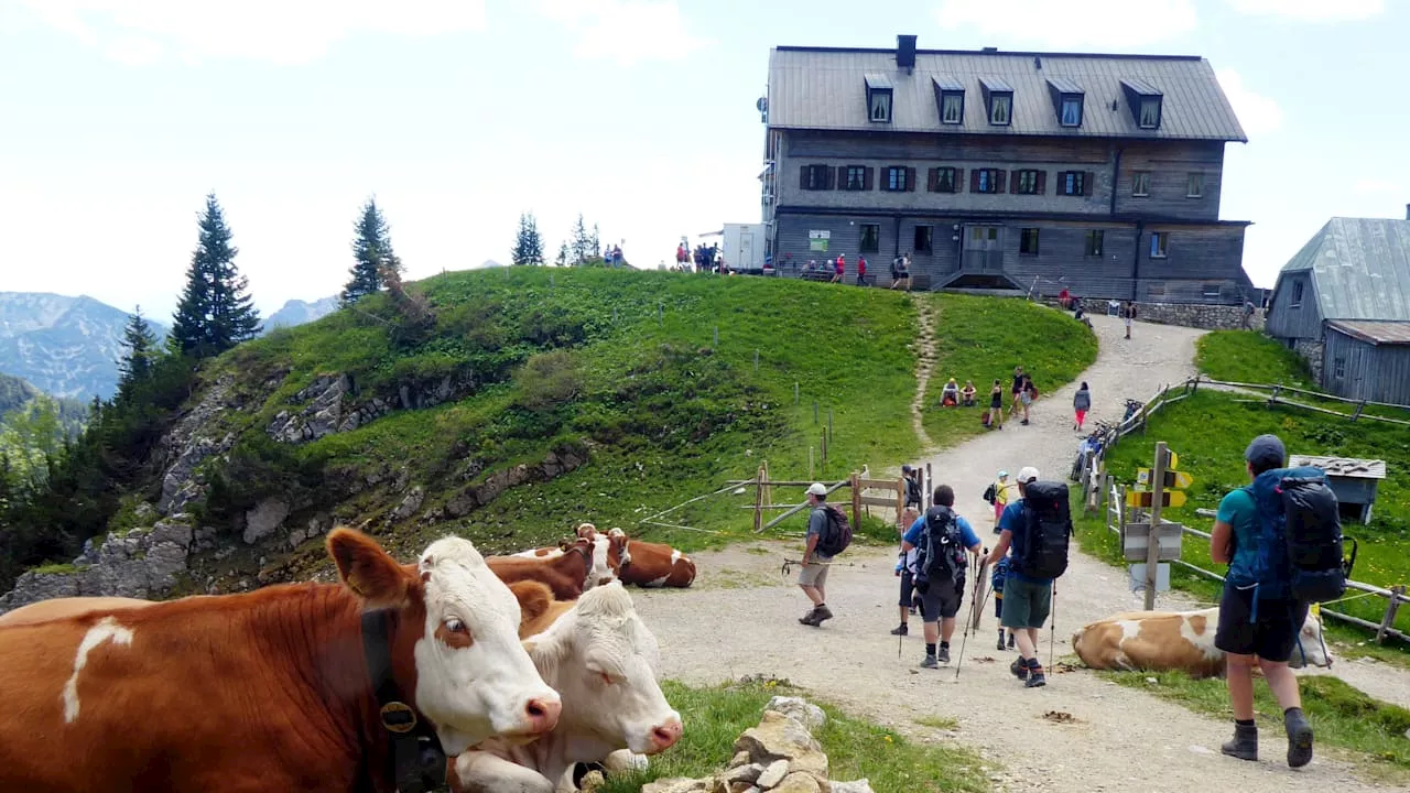 Rotwandhaus in den Alpen: Viren-Alarm in beliebter Berghütte