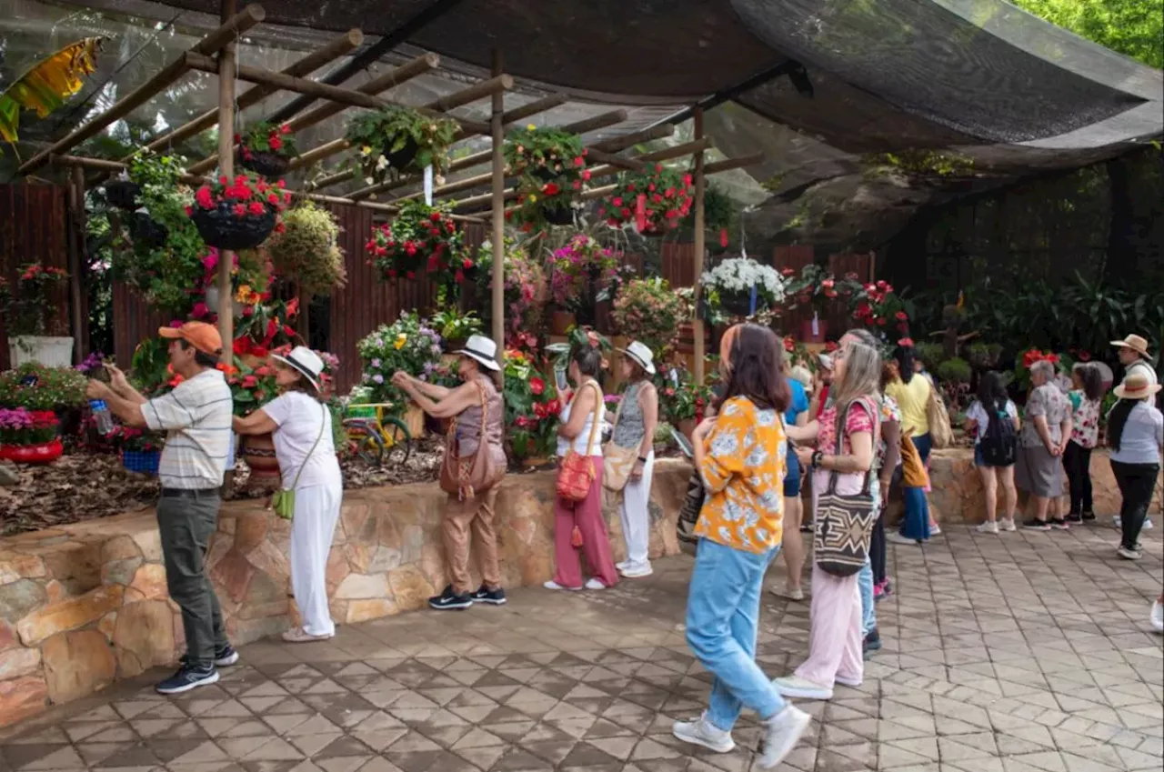 La Feria de las Flores ya va por la mitad; esta es la programación para su quinto día