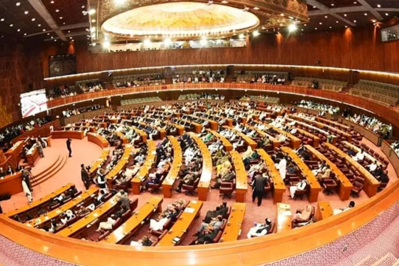 NA passes Elections(Second Amendment) Bill, 2024