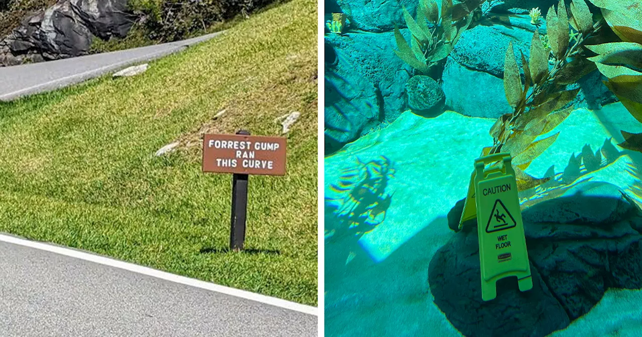 99 Of The Most Interesting And Unusual Signs People Have Came Across (New Pics)