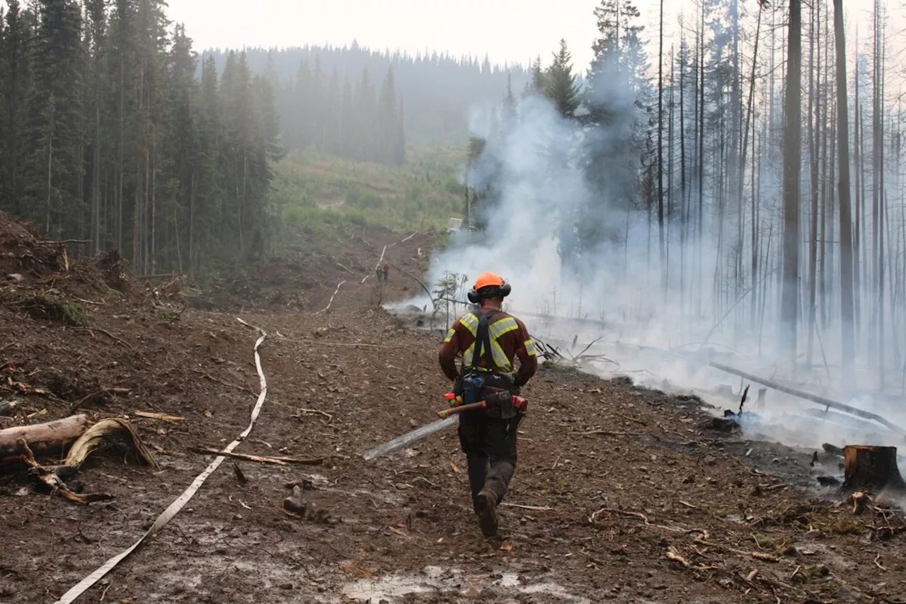 B.C. to see a return to seasonable temperatures, but wildfire risk remains