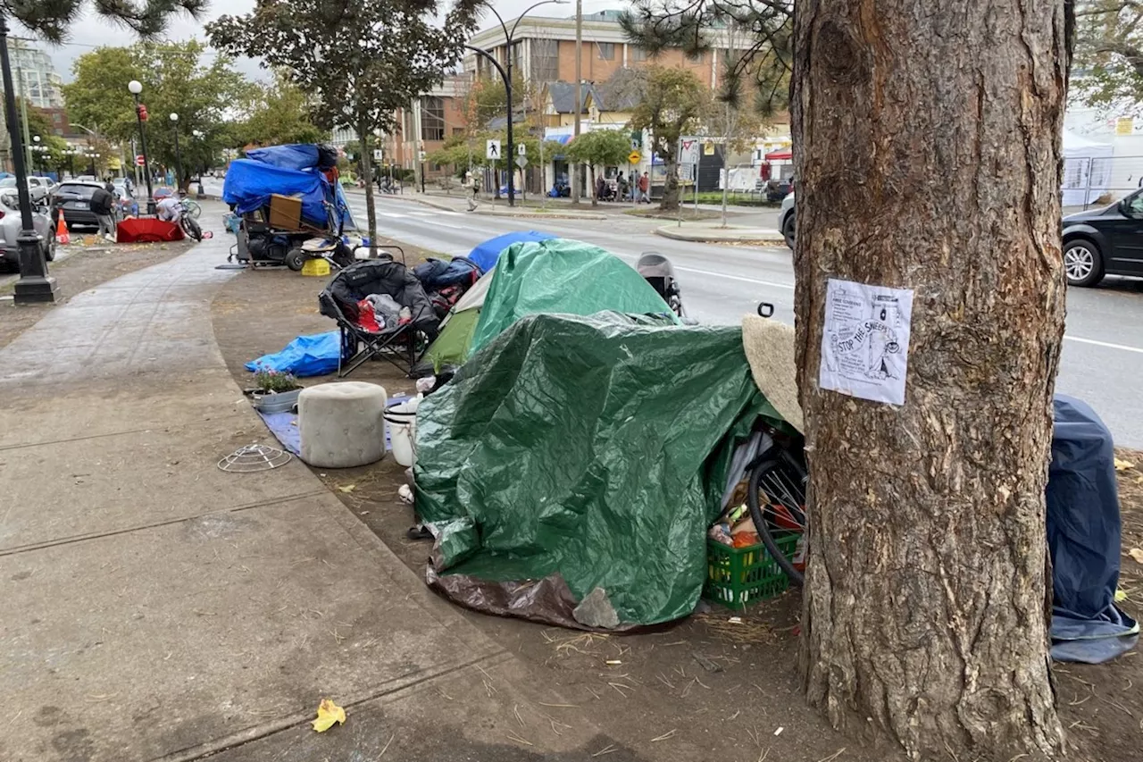 Victoria Police Department reveals 'safety plan' for violence-plagued tent encampment