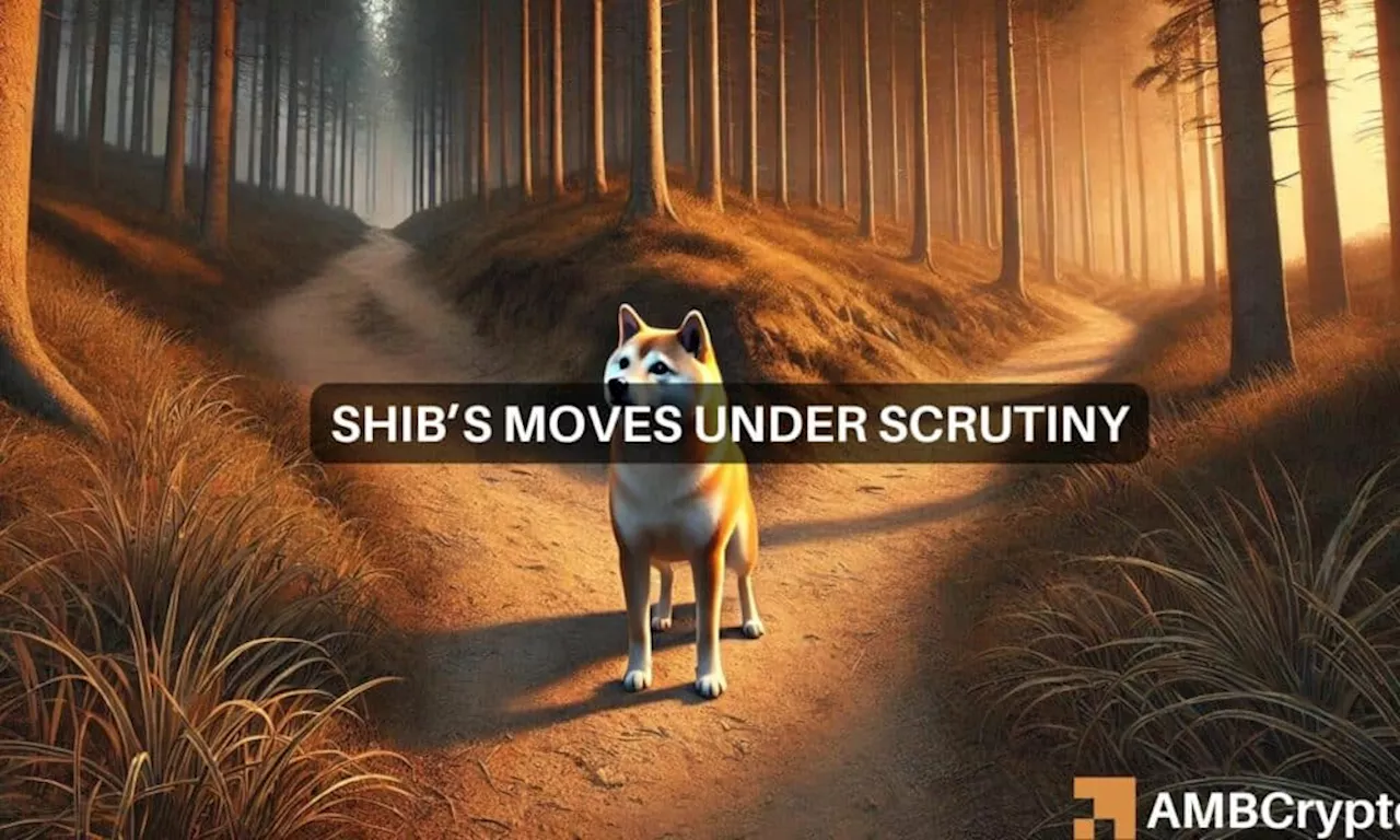 Shiba Inu’s 28% surge: Will SHIB keep its bull run after a change in path?