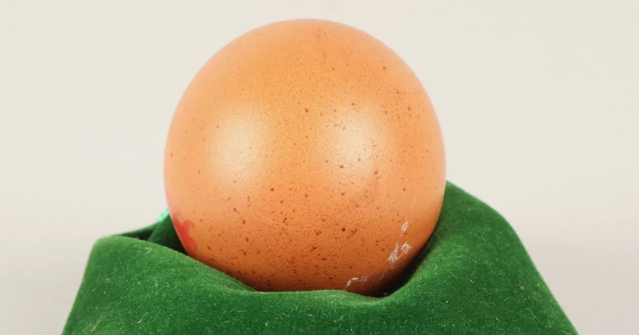 Scot finds 'one-in-a-billion' round egg in weekly shopping