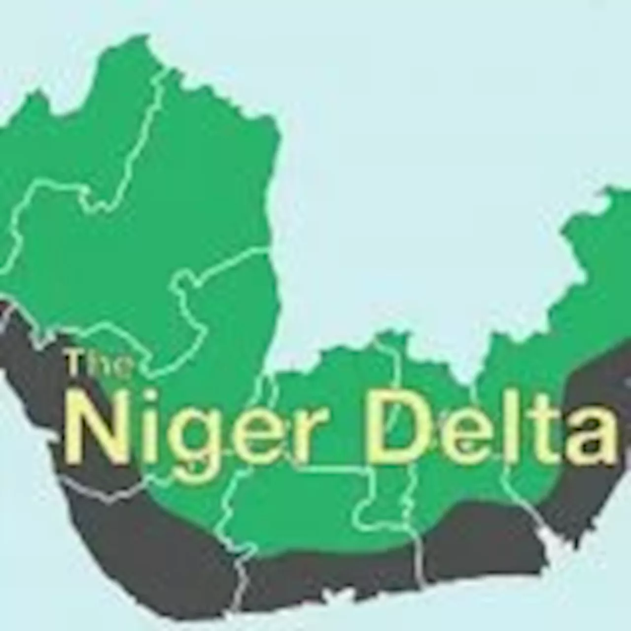 Niger Delta Forum opts out of nationwide protests