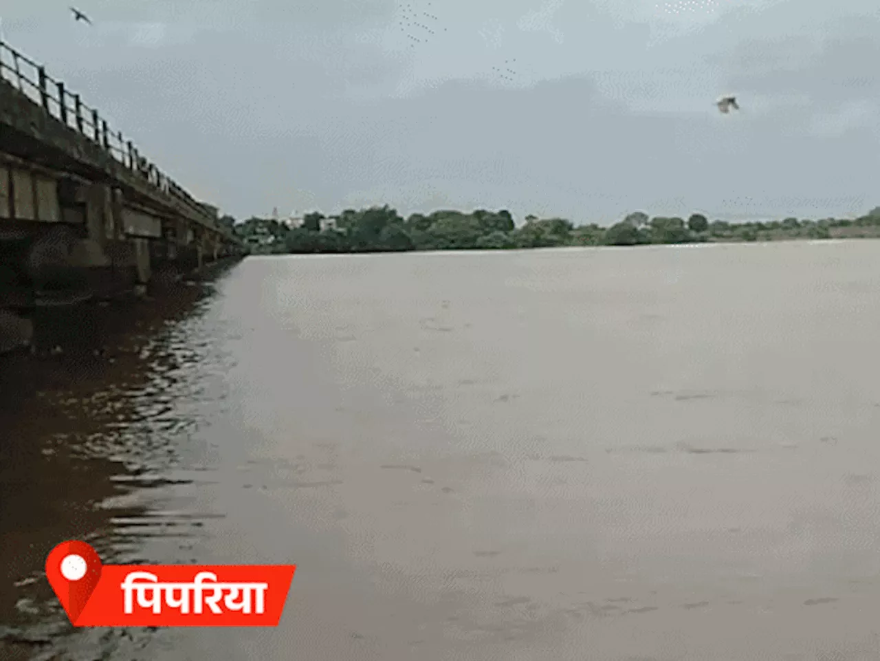 भोपाल समेत 7 जिलों में 30 इंच से ज्यादा बारिश: एमपी में 24.4 इंच पानी गिरा, सीजन की 65% बारिश; एक सप्ताह सि...