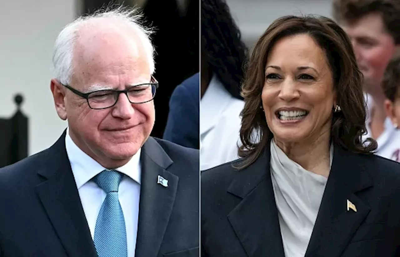 What does Tim Walz bring to the table for Harris?