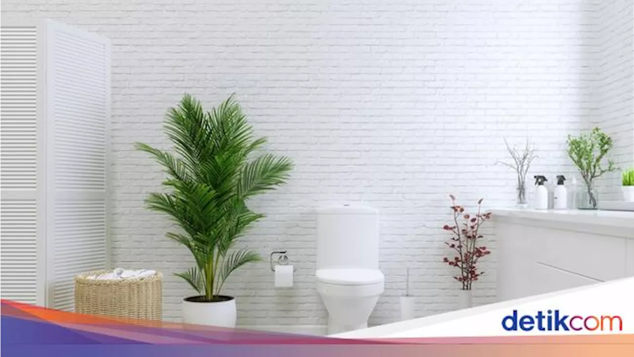 3 Tips Beli Keramik Lantai Kamar Mandi