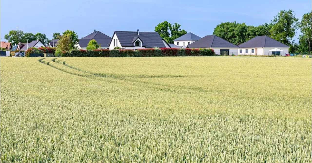 Stadtwohnung oder Haus am Land: „Immobilien werden gekauft und verkauft“