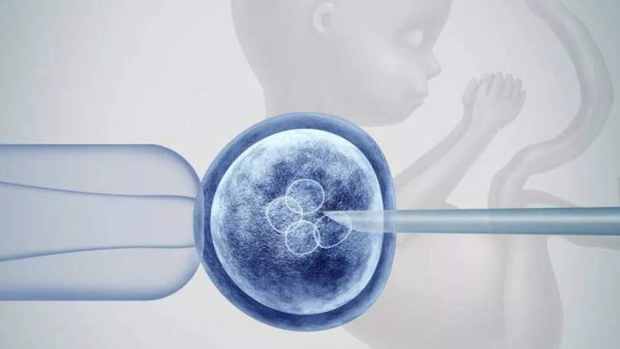 El curioso caso que estudió la Corte Constitucional relacionado con un procedimiento de fertilización ‘in vitro’