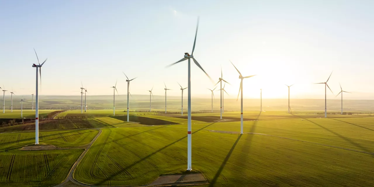 Jan Hegenberg: Warum Deutschland nicht der „Geisterfahrer“ der Energiewende ist