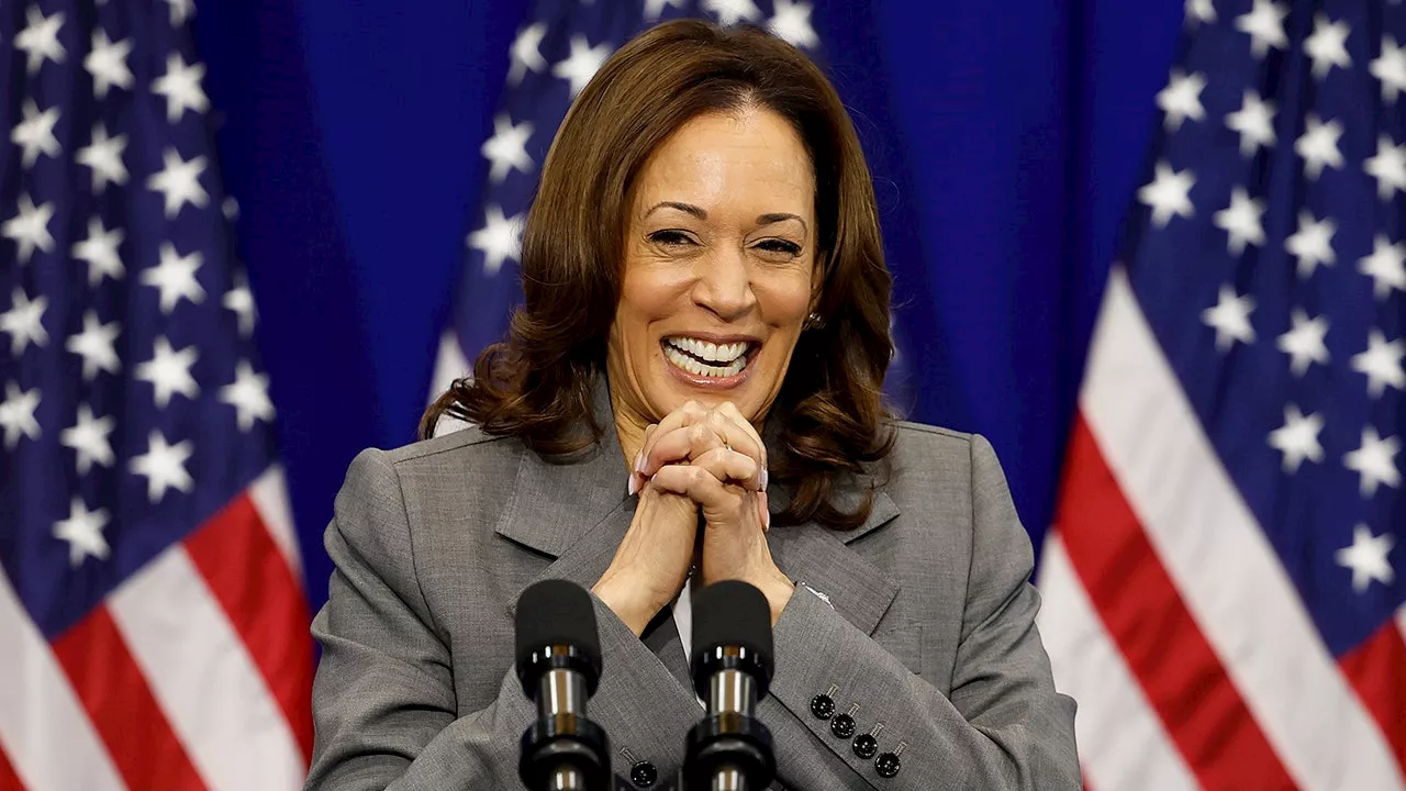 Harris replacing Biden solidifies traditional blue states, gives Dems a better national outlook