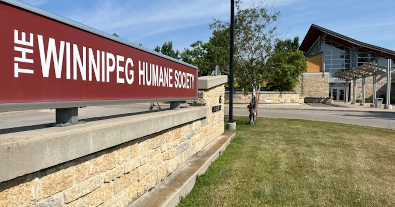 Winnipeg Humane Society swamped as province seizes 130 dogs from Manitoba home