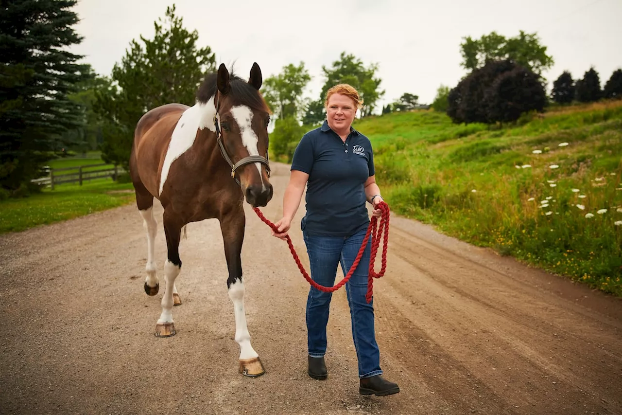 A new approach to veterinary medicine aims to change specialized care for large, rural animals